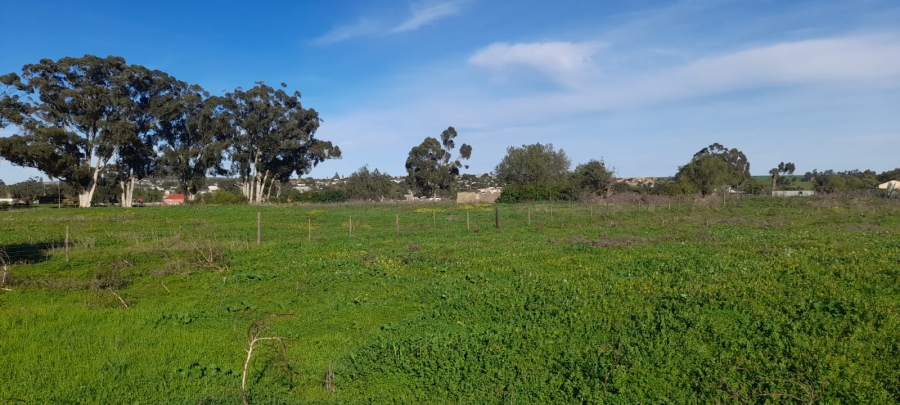 3 Bedroom Property for Sale in Hooikraal Western Cape